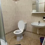 Guest house Orlovna